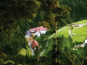 Sri Sri School of Yoga