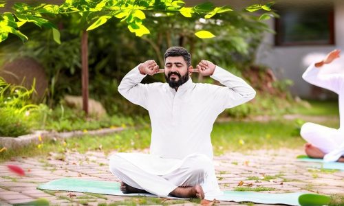 bhramari pranayama yoga
