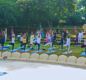 300 Hrs Advanced Yoga Teacher Training (Online)