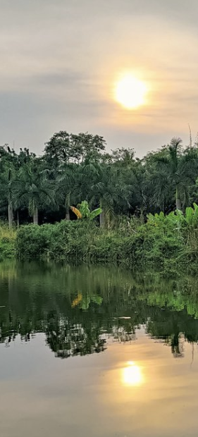 Screenshot 2024-12-25 at 10.25.07 AM