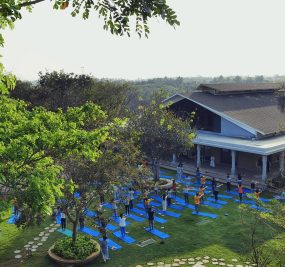 SSSYCampus-Garden-People-doing-yoga
