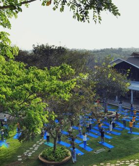 SSSYCampus-Garden-People-doing-yoga