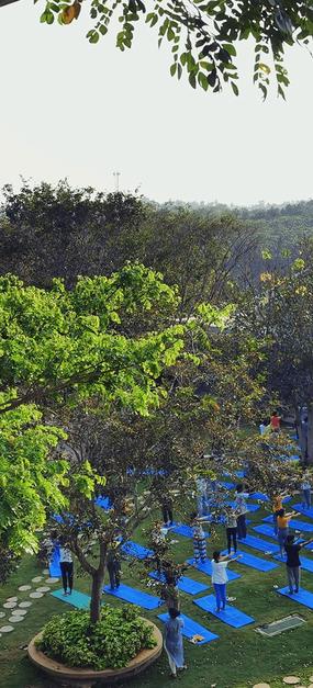 SSSYCampus-Garden-People-doing-yoga