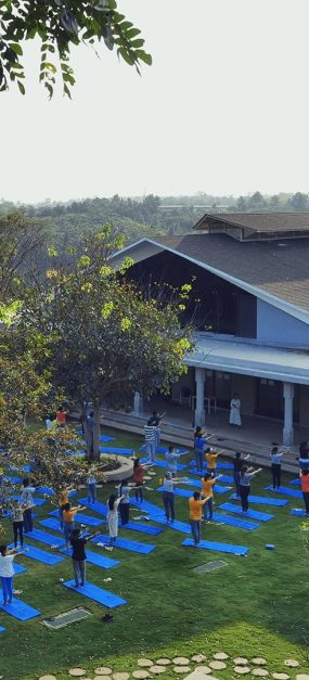 SSSYCampus-Garden-People-doing-yoga