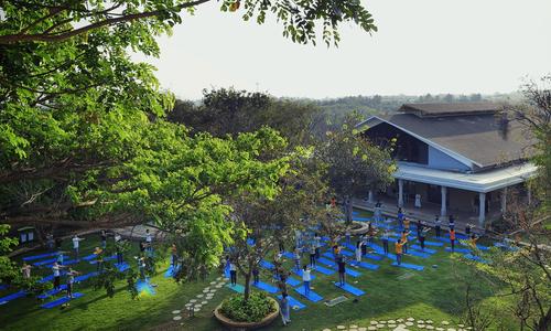 SSSYCampus-Garden-People-doing-yoga