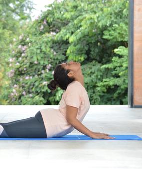 Yoga - lying on the floor on tummy with shoulder and neck stretched upwards in cobra pose