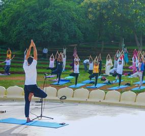 300 Hrs Advanced Yoga Teacher Training (Online)