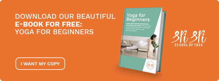 Begin Your Yoga Journey At Home: A Guide for Yoga Exercises